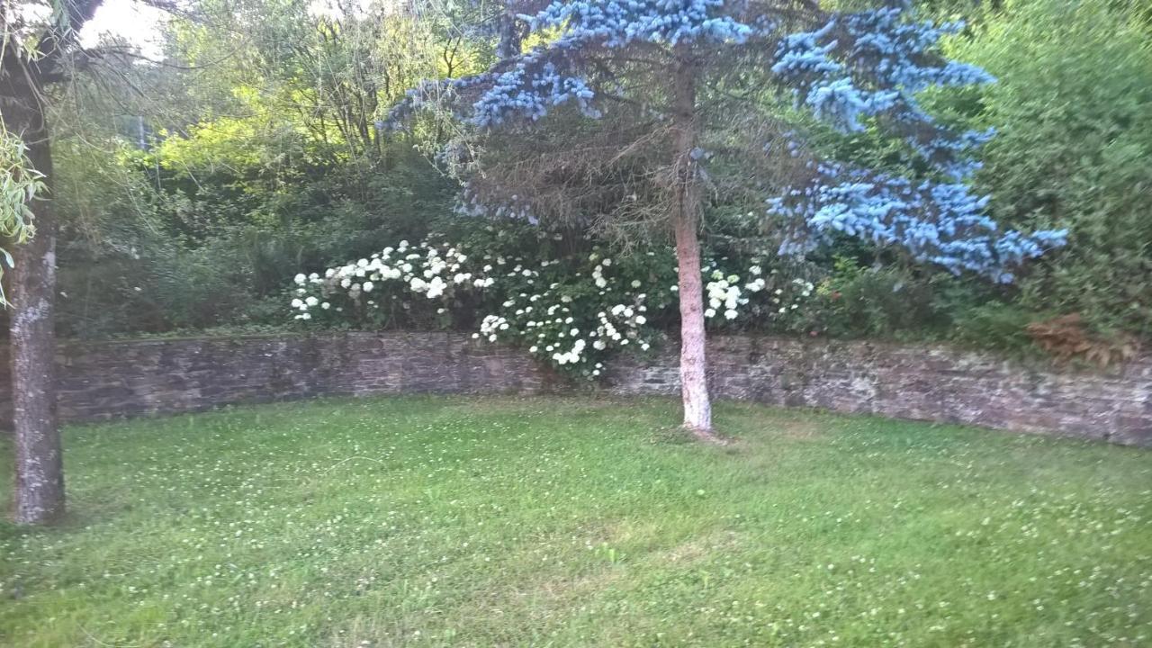 B&B Le Nid Doux Vresse-sur-Semois Exterior photo